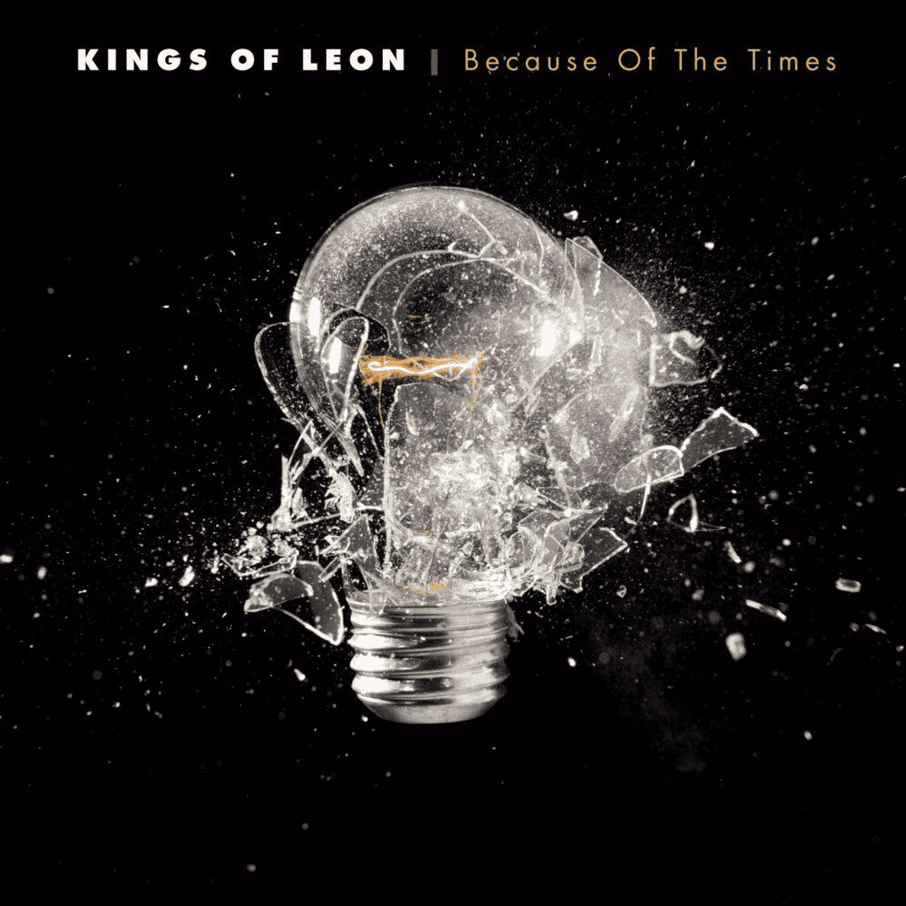 KINGS OF LEON - Because Of The Times Vinyl - JWrayRecords