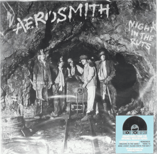 AEROSMITH - Night In The Ruts Vinyl - JWrayRecords