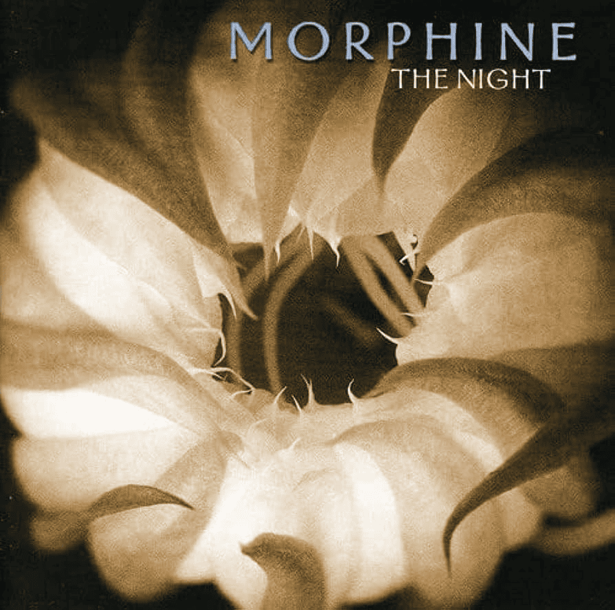 MORPHINE - The Night Vinyl - JWrayRecords