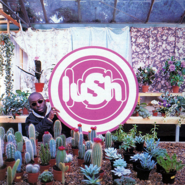 LUSH - Lovelife Vinyl - JWrayRecords