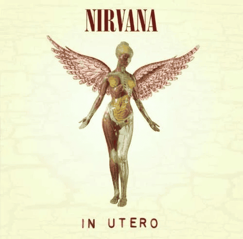 NIRVANA - In Utero 30th Anniversary Vinyl - JWrayRecords