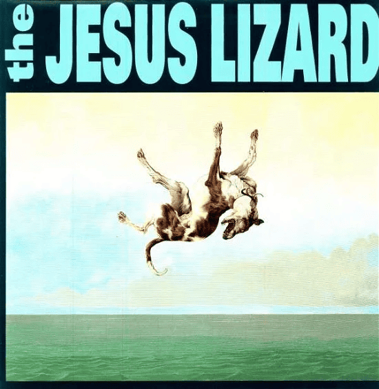 THE JESUS LIZARD - Down Vinyl - JWrayRecords