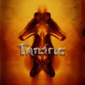TANTRIC - Tantric Black Friday Edition 2023 Vinyl - JWrayRecords