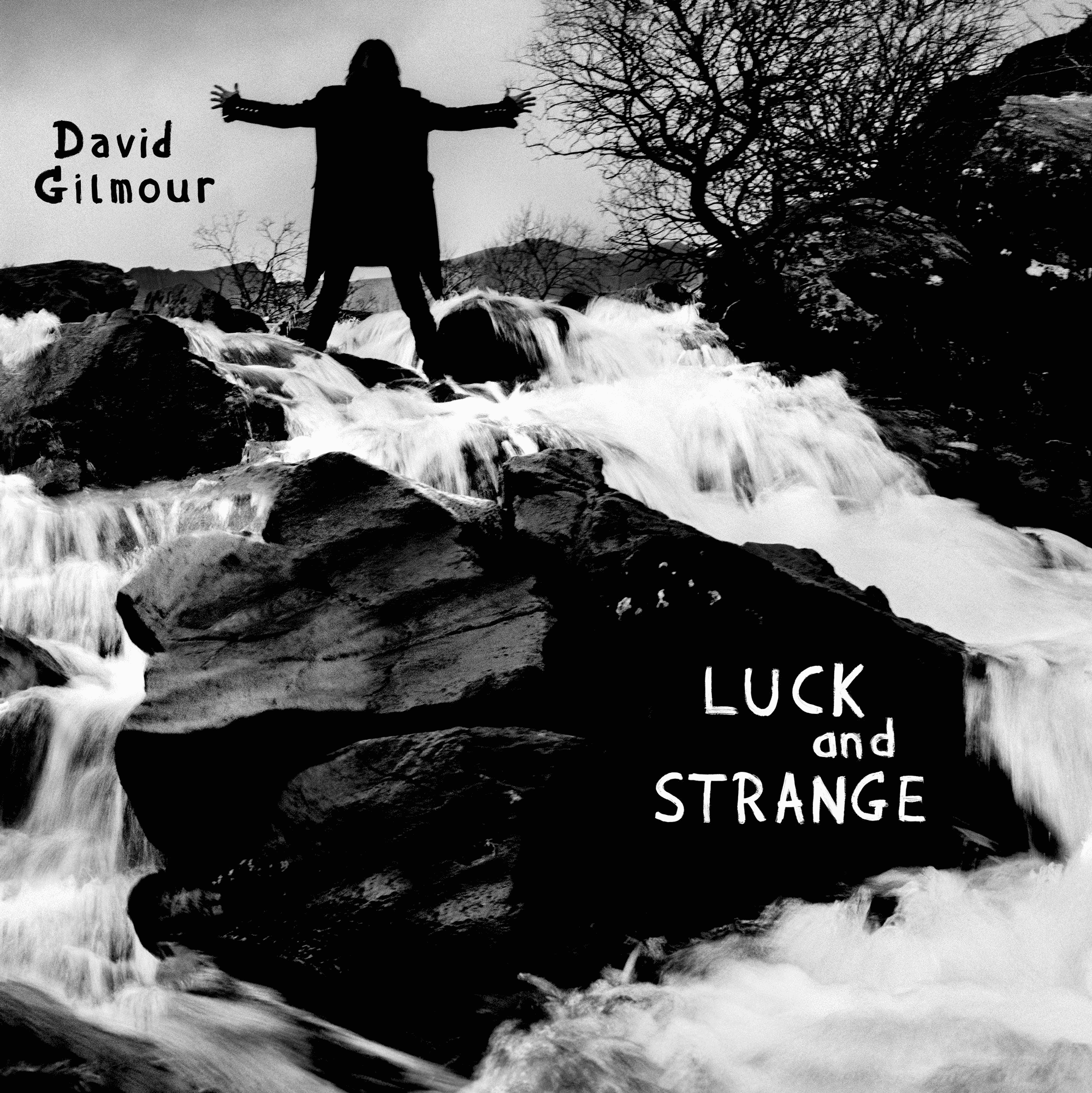 DAVID GILMOUR - Luck and Strange Vinyl