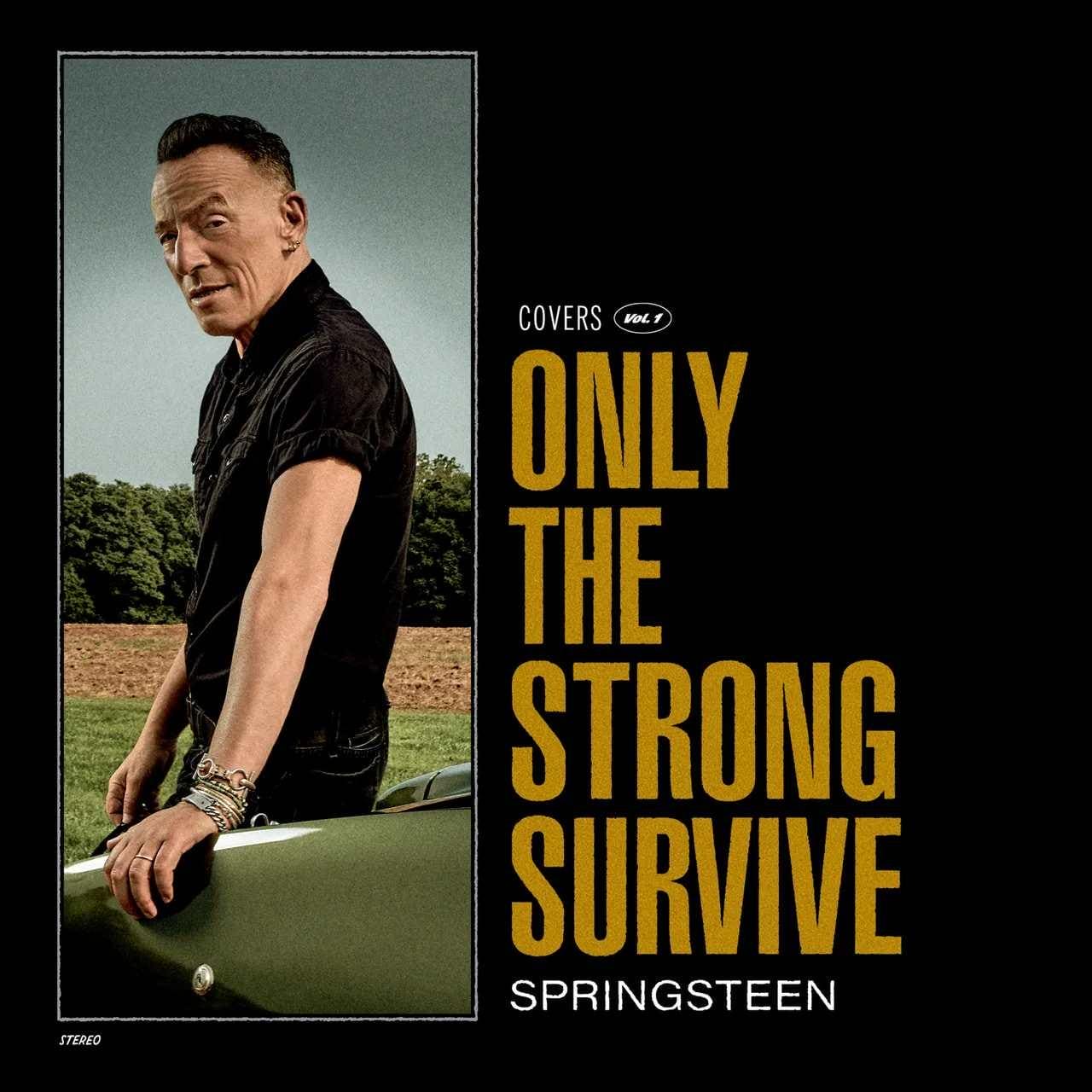 BRUCE SPRINGSTEEN - Only The Strong Survive Vinyl - JWrayRecords