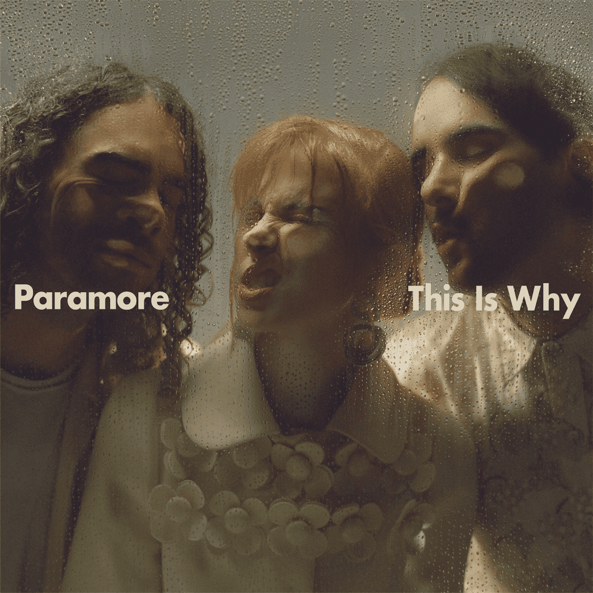 PARAMORE - This Is Why Vinyl - JWrayRecords