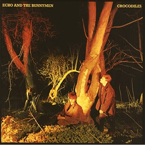 ECHO & THE BUNNYMEN - Crocodiles Vinyl - JWrayRecords