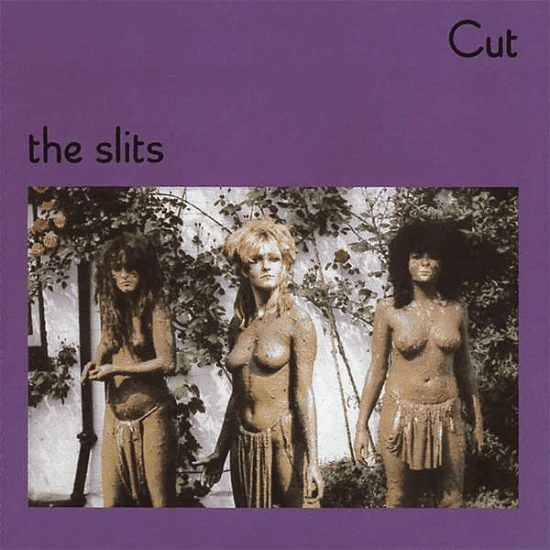 THE SLITS - Cut Vinyl - JWrayRecords
