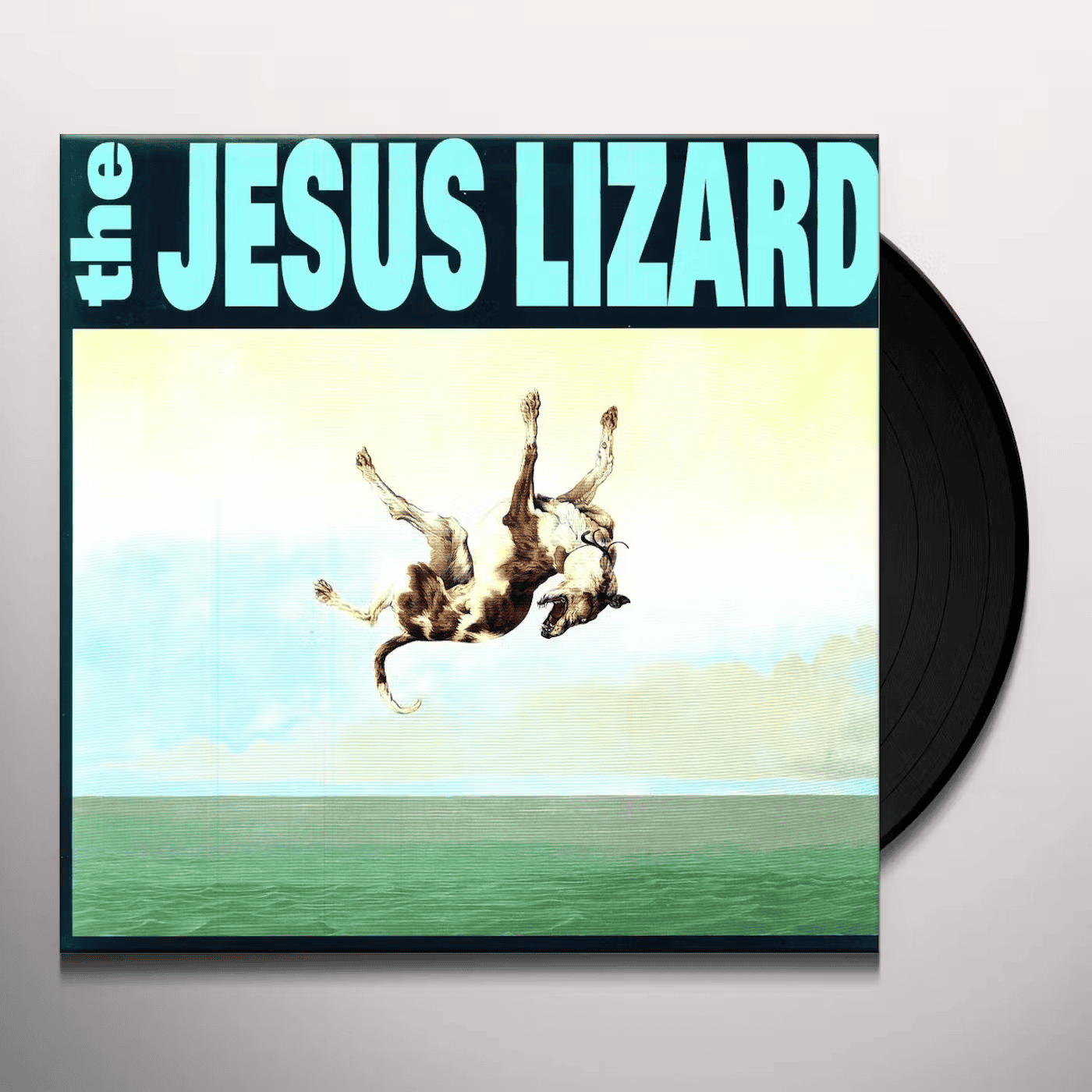 THE JESUS LIZARD - Down Vinyl - JWrayRecords