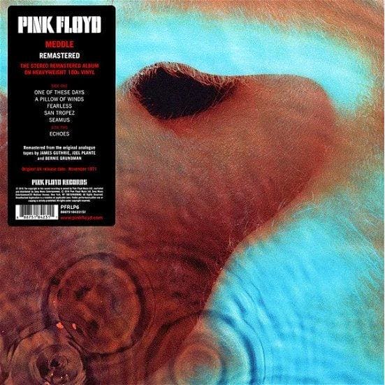PINK FLOYD - Meddle Vinyl - JWrayRecords