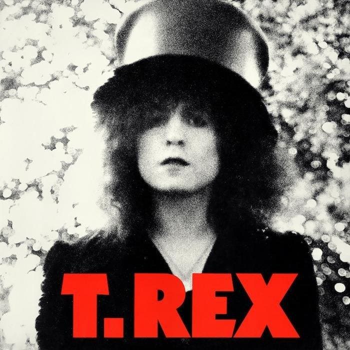 T.REX - The Slider Vinyl - JWrayRecords